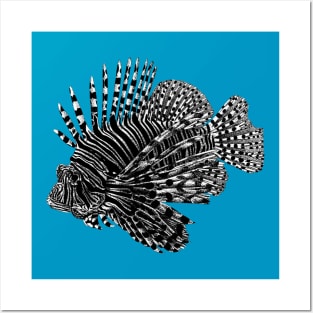 Lionfish Posters and Art